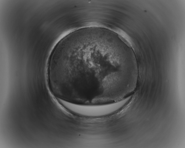 X0000088231142200705221819