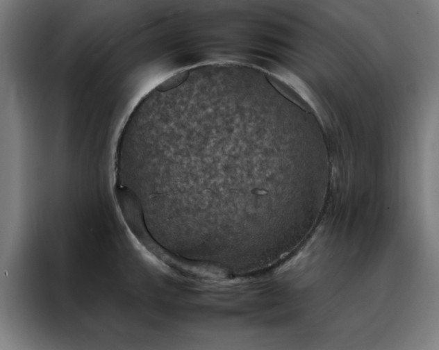 X0000088231143200705221819