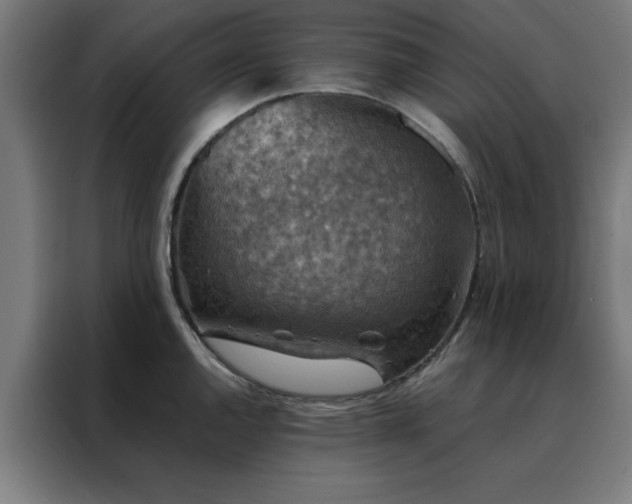 X0000088231144200705221819