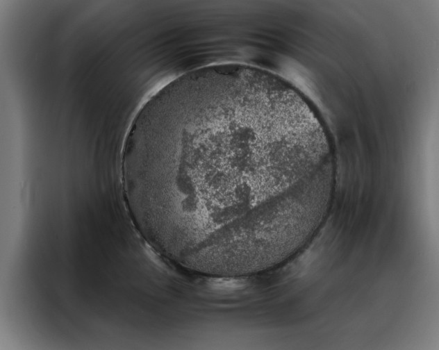 X0000088231145200705221819