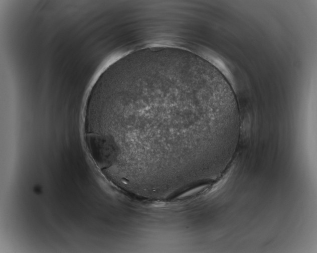 X0000088231146200705221819