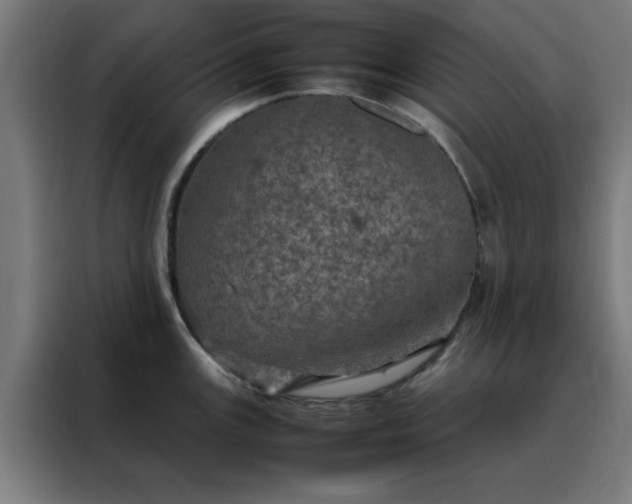 X0000088231147200705221819
