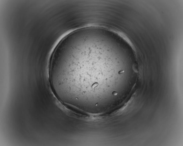 X0000088231148200705221819