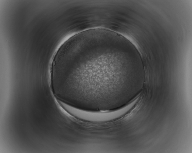 X0000088231151200705221819