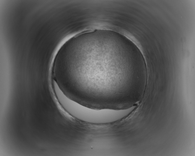 X0000088231152200705221819