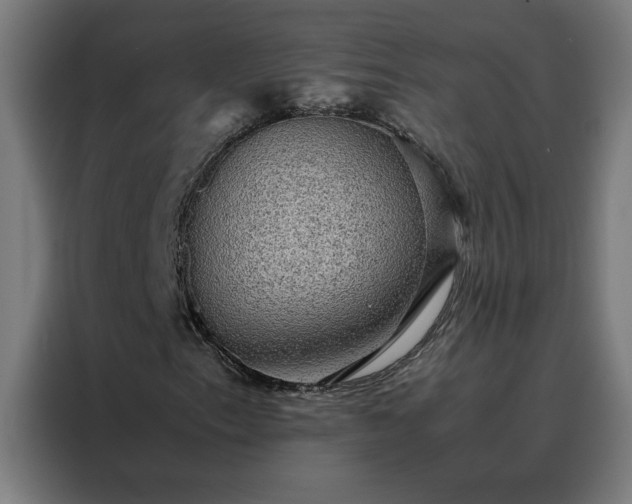 X0000088231153200705221818