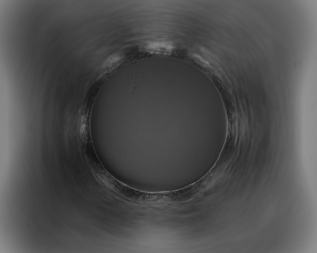 X0000088231154200705221818