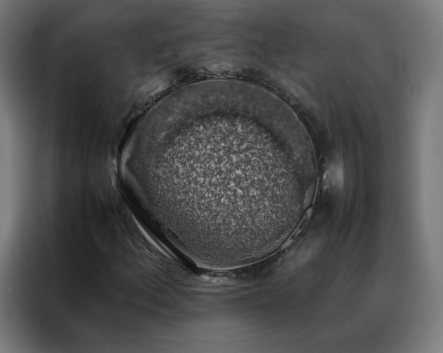 X0000088231156200705221818