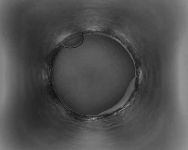 X0000088231158200705221818
