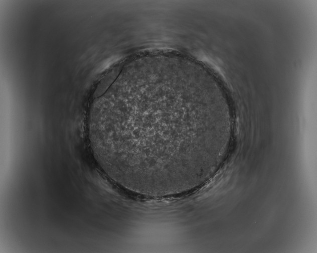 X0000088231159200705221818
