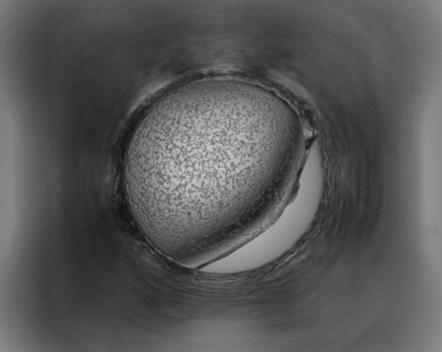 X0000088231160200705221818