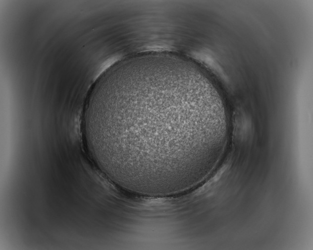 X0000088231162200705221818