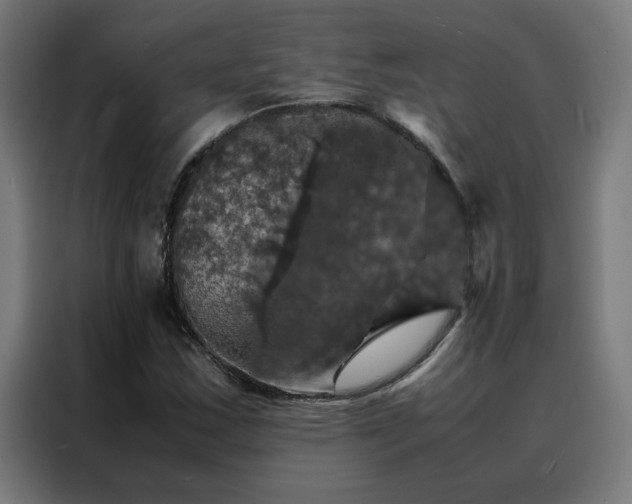 X0000088231163200705221818