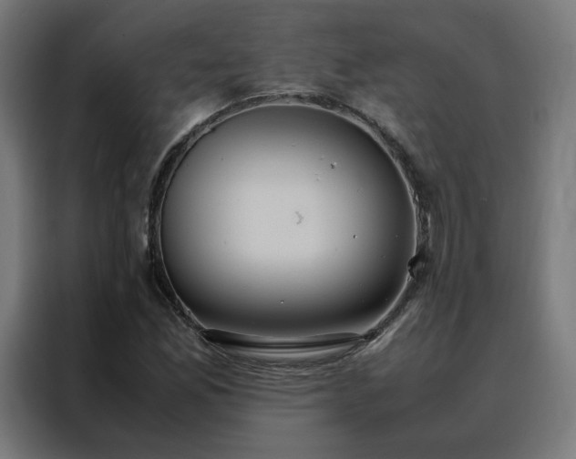 X0000088231165200705221818