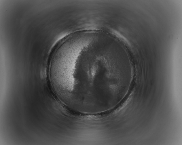 X0000088231166200705221818