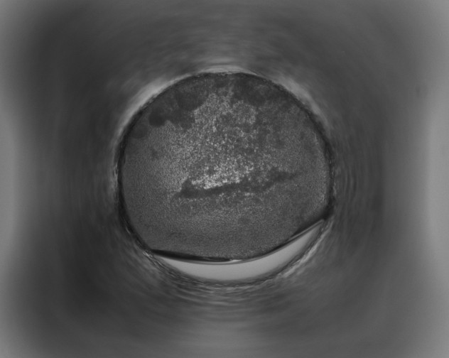 X0000088231167200705221818