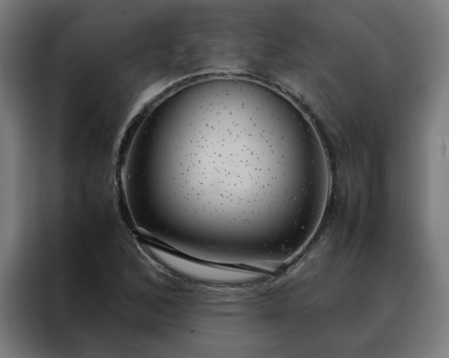 X0000088231168200705221818