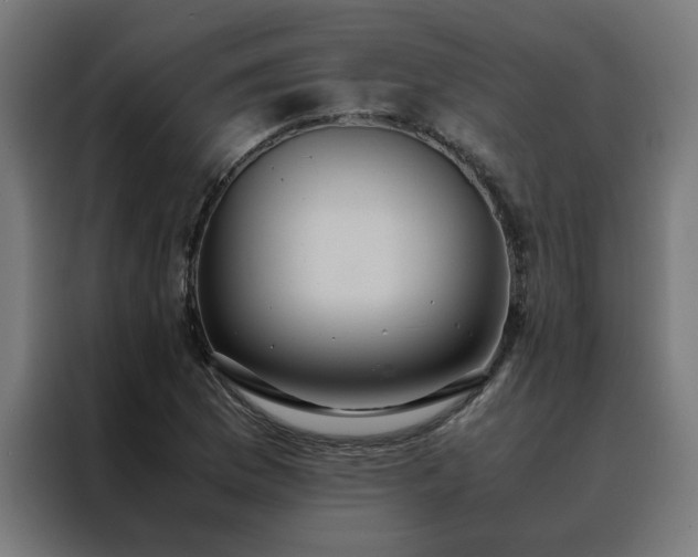 X0000088231169200705221818