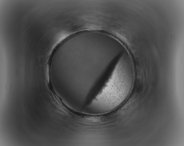 X0000088231171200705221818