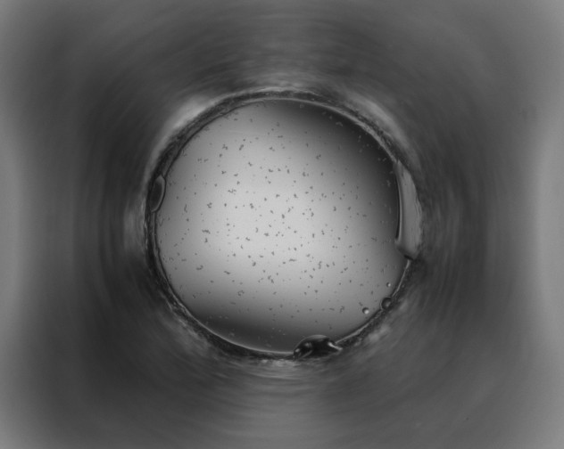 X0000088231172200705221818