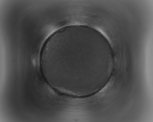 X0000088231173200705221818
