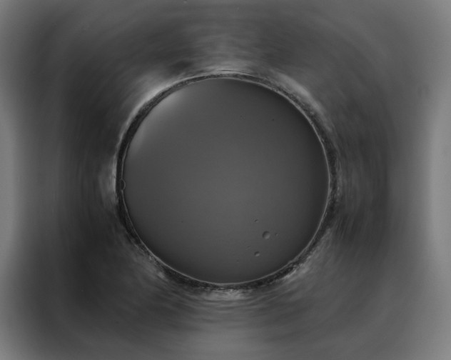 X0000088231174200705221818
