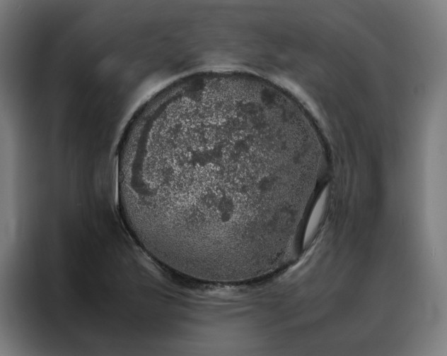 X0000088231175200705221818