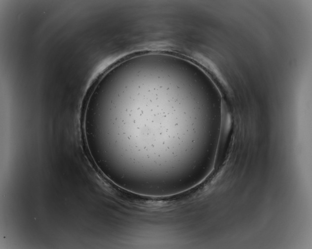 X0000088231176200705221818