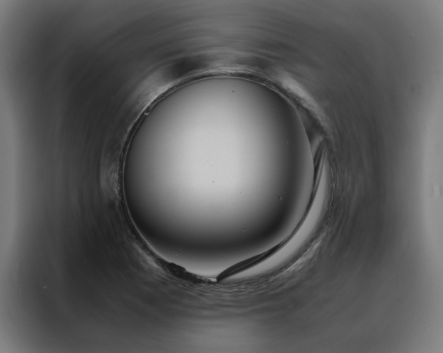 X0000088231177200705221818
