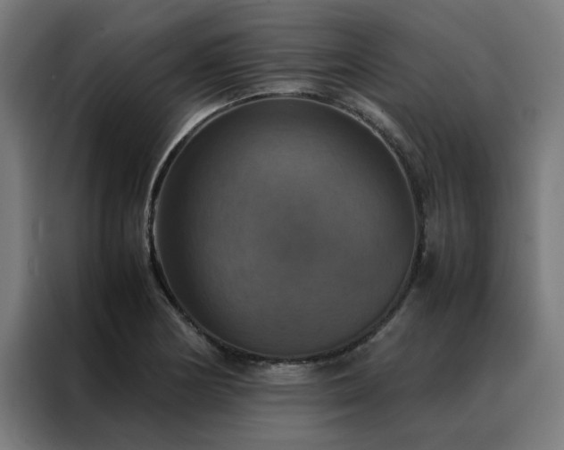 X0000088231178200705221818