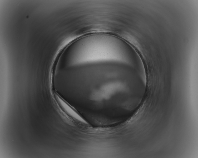 X0000088231179200705221818