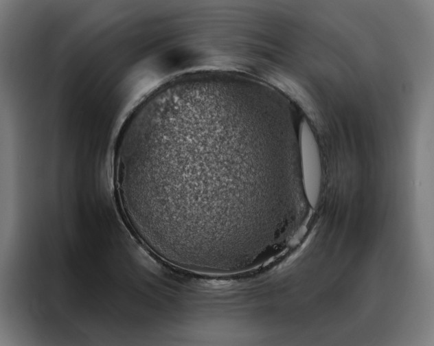 X0000088231180200705221818