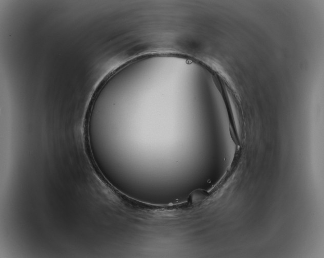 X0000088231181200705221818