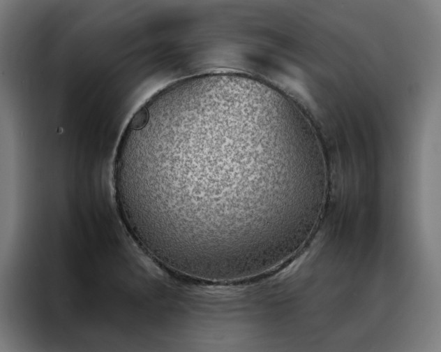 X0000088231182200705221818
