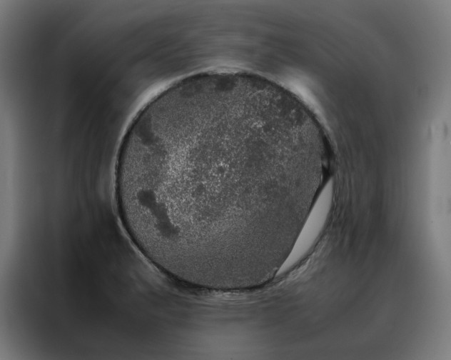 X0000088231183200705221818