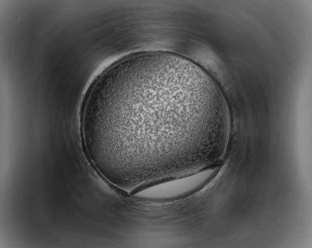 X0000088231184200705221818