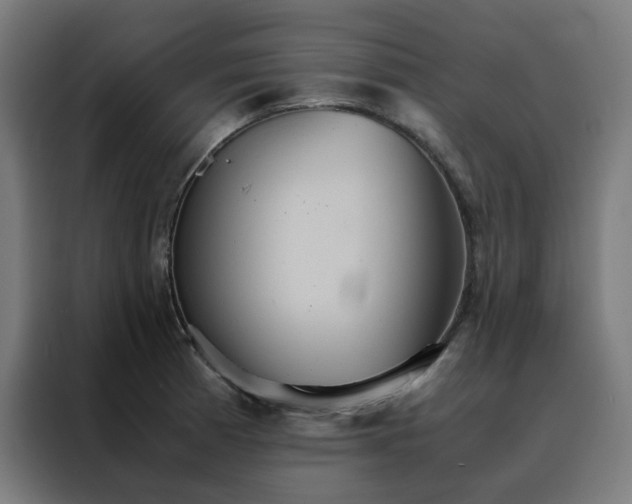 X0000088231185200705221818
