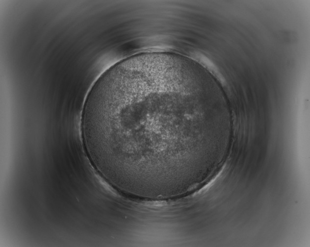 X0000088231186200705221818