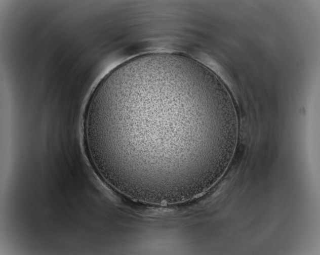 X0000088231187200705221818