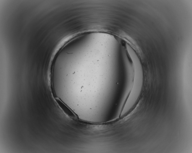 X0000088231188200705221818
