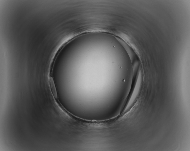 X0000088231189200705221818
