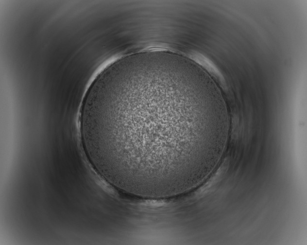 X0000088231190200705221818