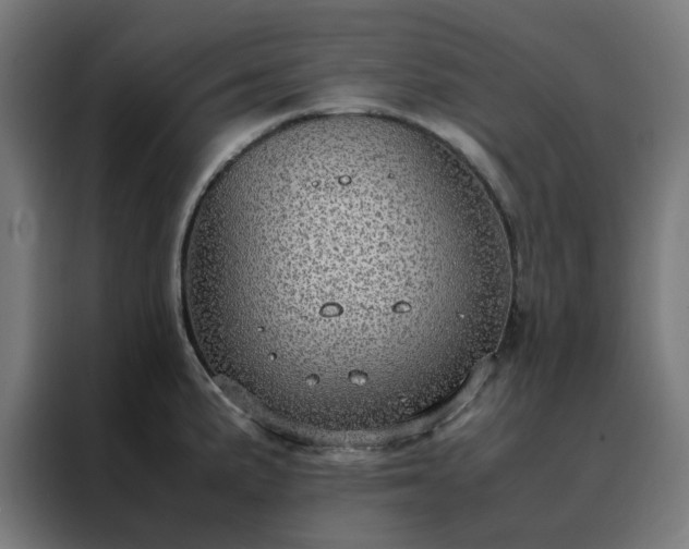X0000088231191200705221818