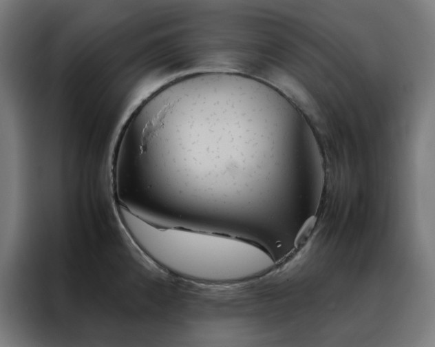 X0000088231192200705221818