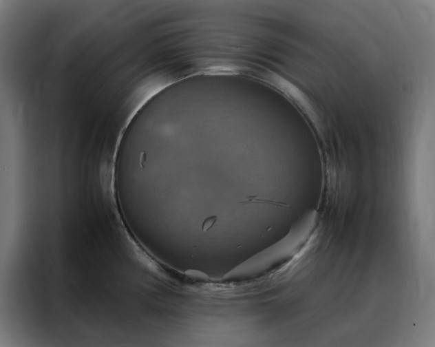 X0000088231194200705221818