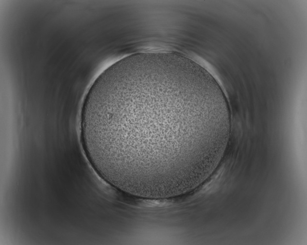 X0000088231195200705221818