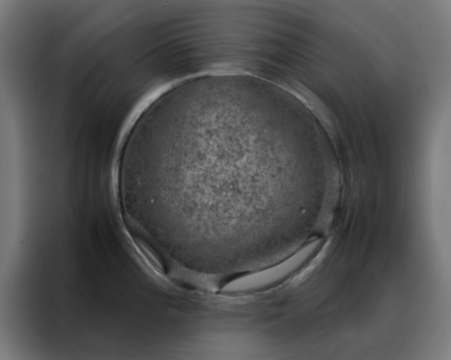 X0000088231196200705221818
