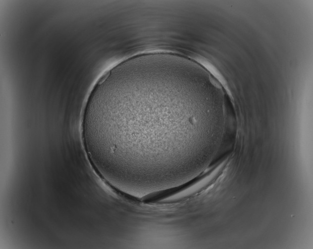 X0000088231197200705221818