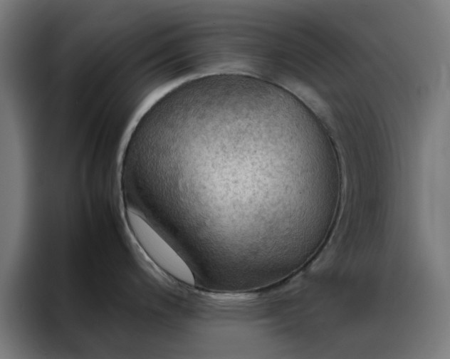 X0000088231200200705221818