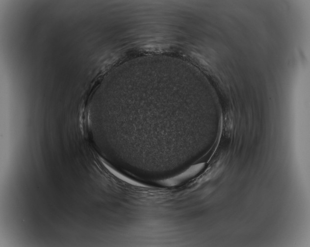 X0000088231202200705221817